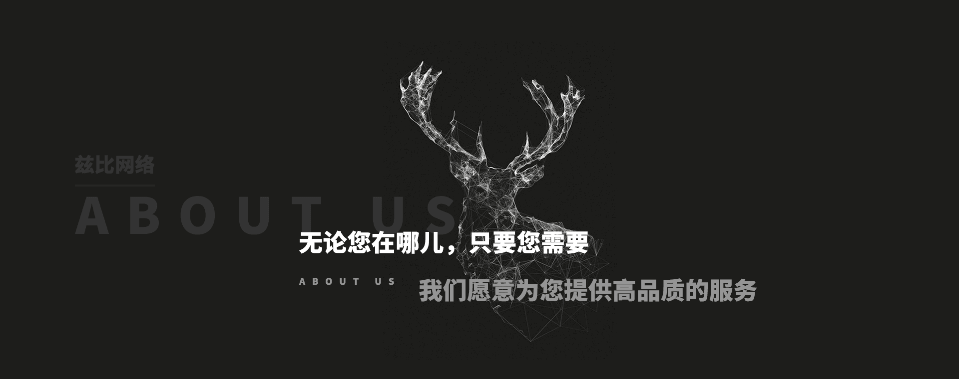 乐鱼体育直播